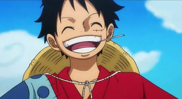 quel-age-a-luffy